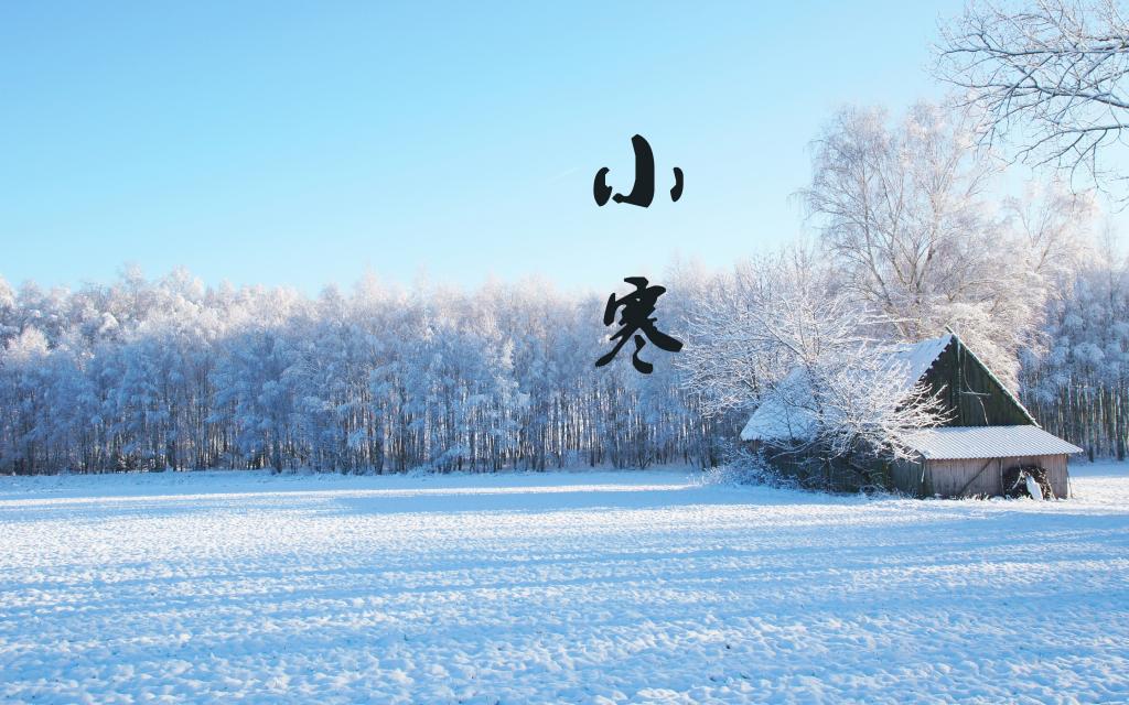 节气小寒的雪景