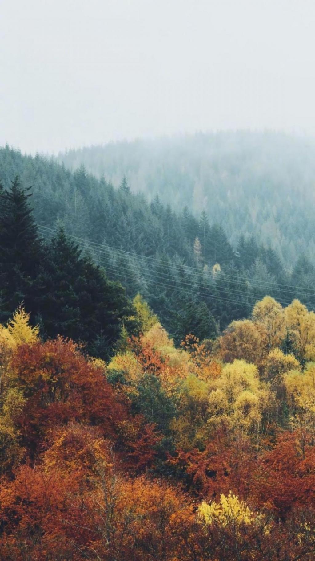 清新养眼迷人秋景风光