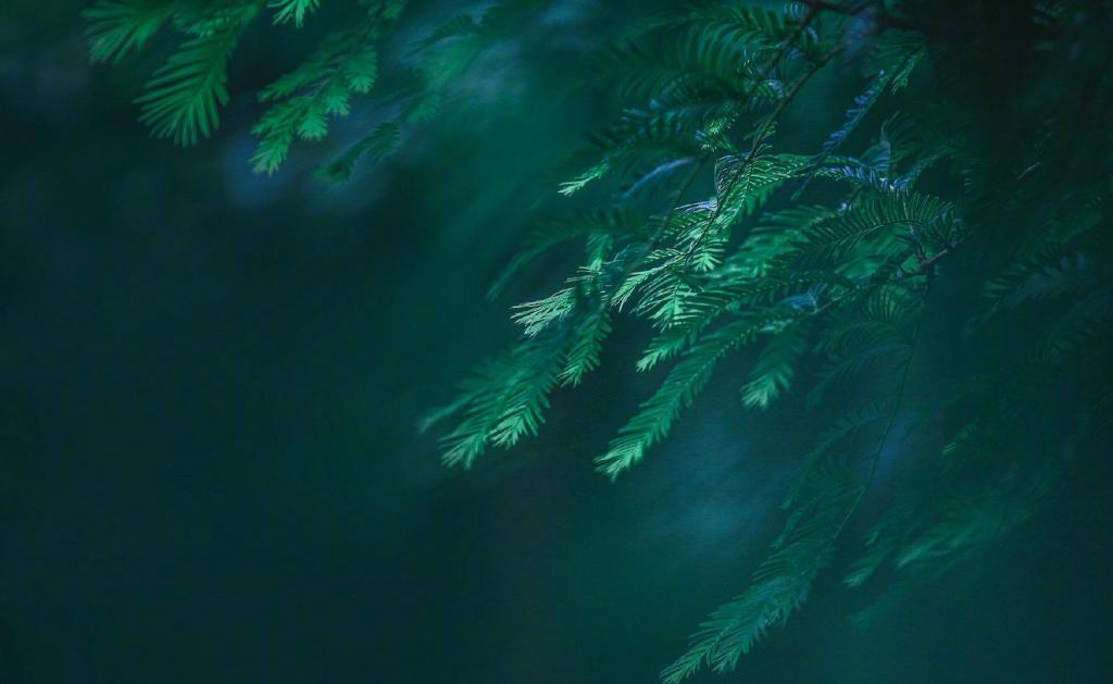 小清新养眼风光美景