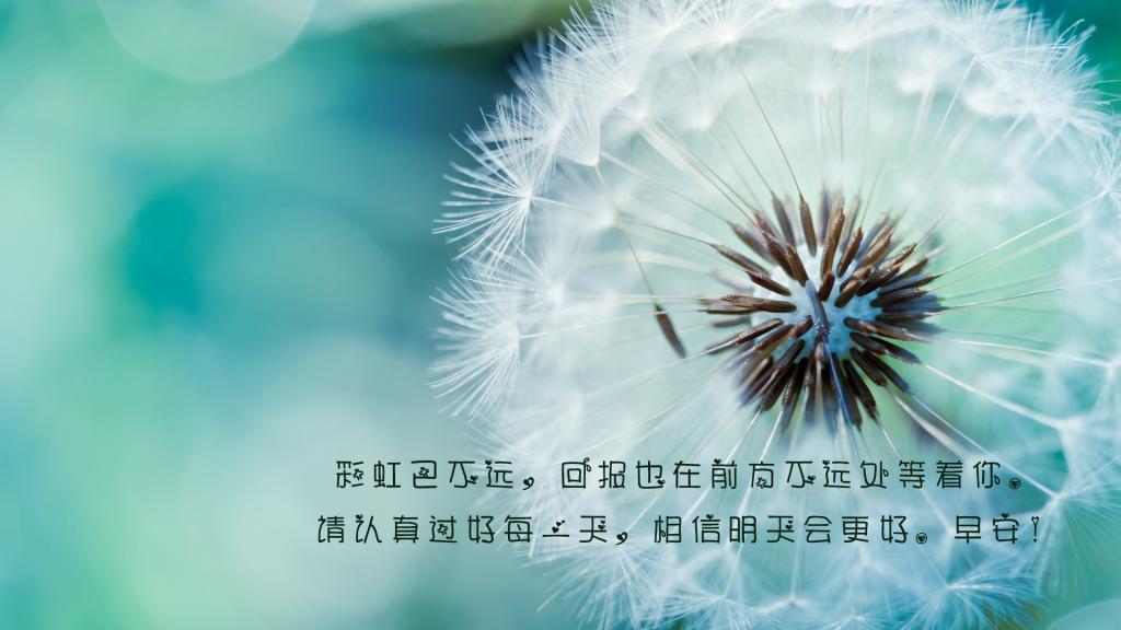 治愈系的早安心语集合