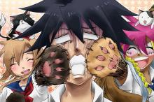 人气动漫《猫愿三角恋》