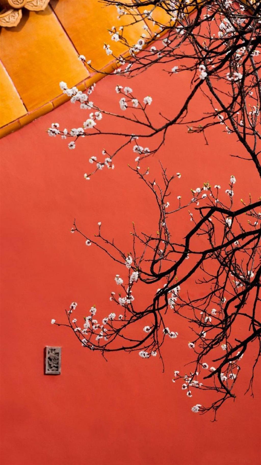 唯美故宫红墙映花影,高清图片,手机锁屏桌面-壁纸族