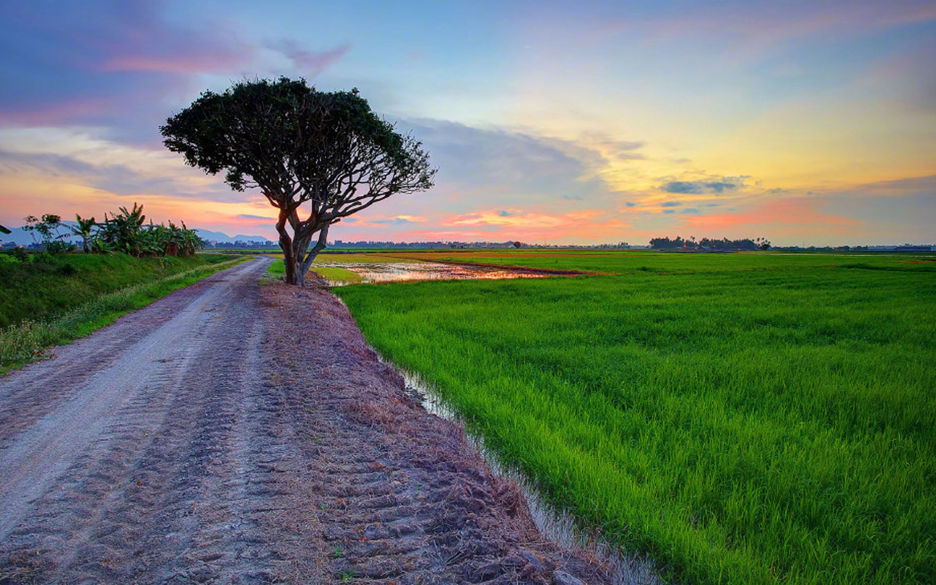 > || 更新时间:2019-03-19 颜色分 青色 关键词:  唯美意境 自然风光
