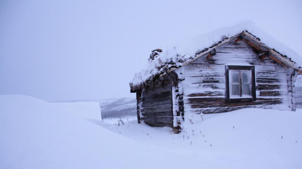 唯美的冬至雪景