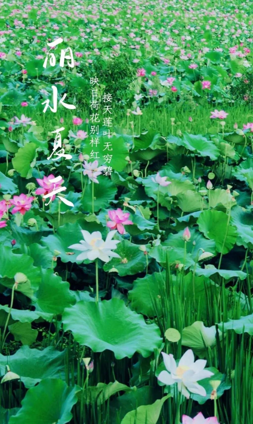 夏天的烟火气有多美好