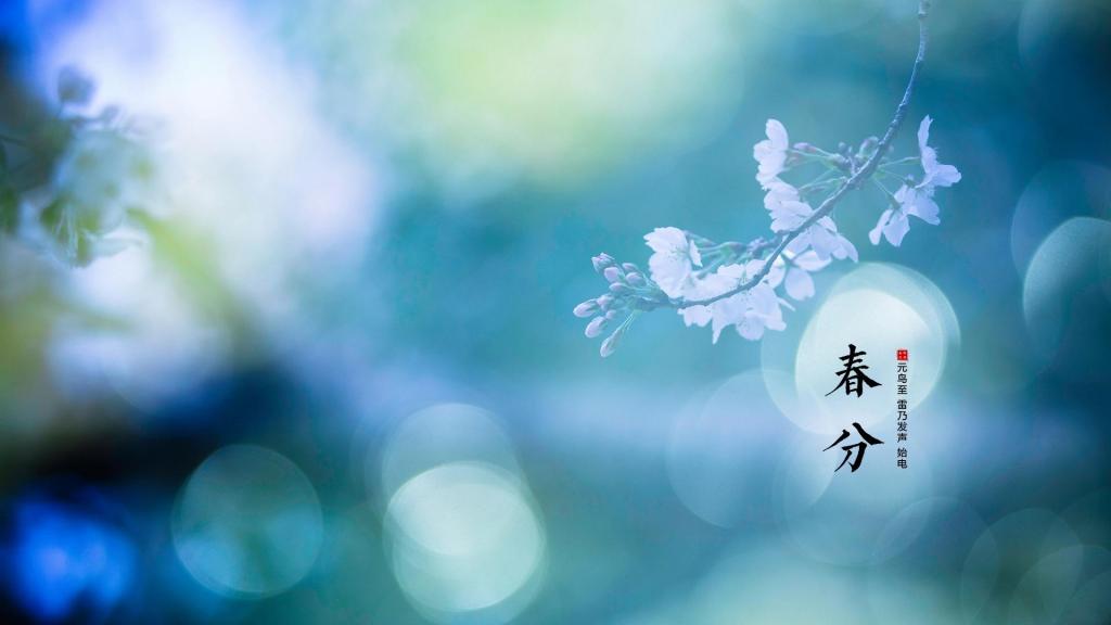 美丽的春分时节到来