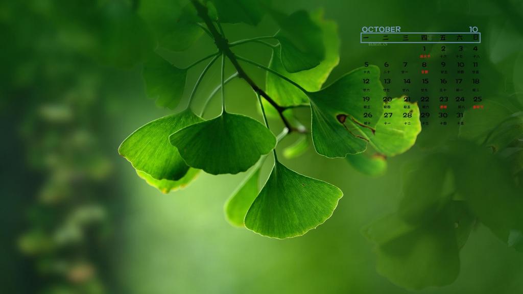 2020年10月绿色小清新银杏日历