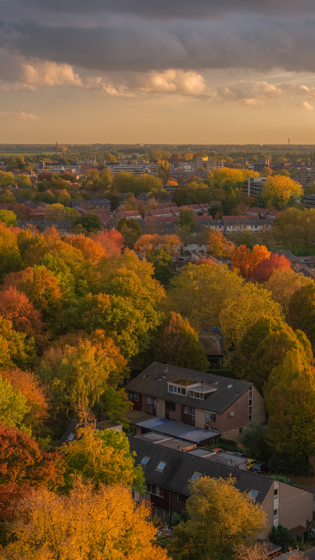 秋季唯美自然北欧风景