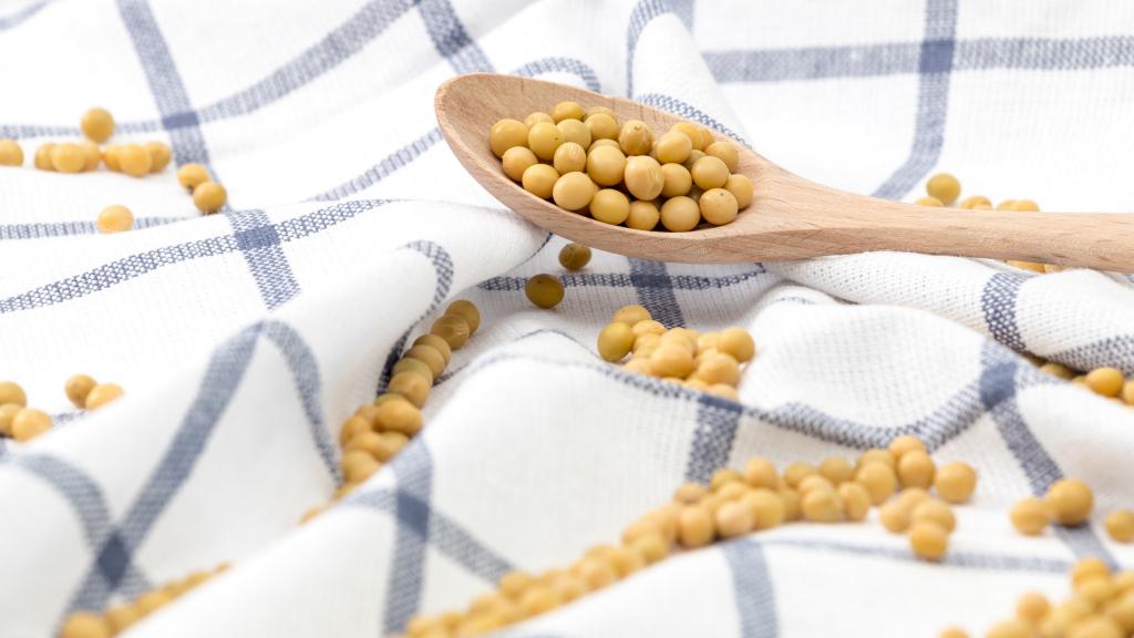 营养丰富的黄豆