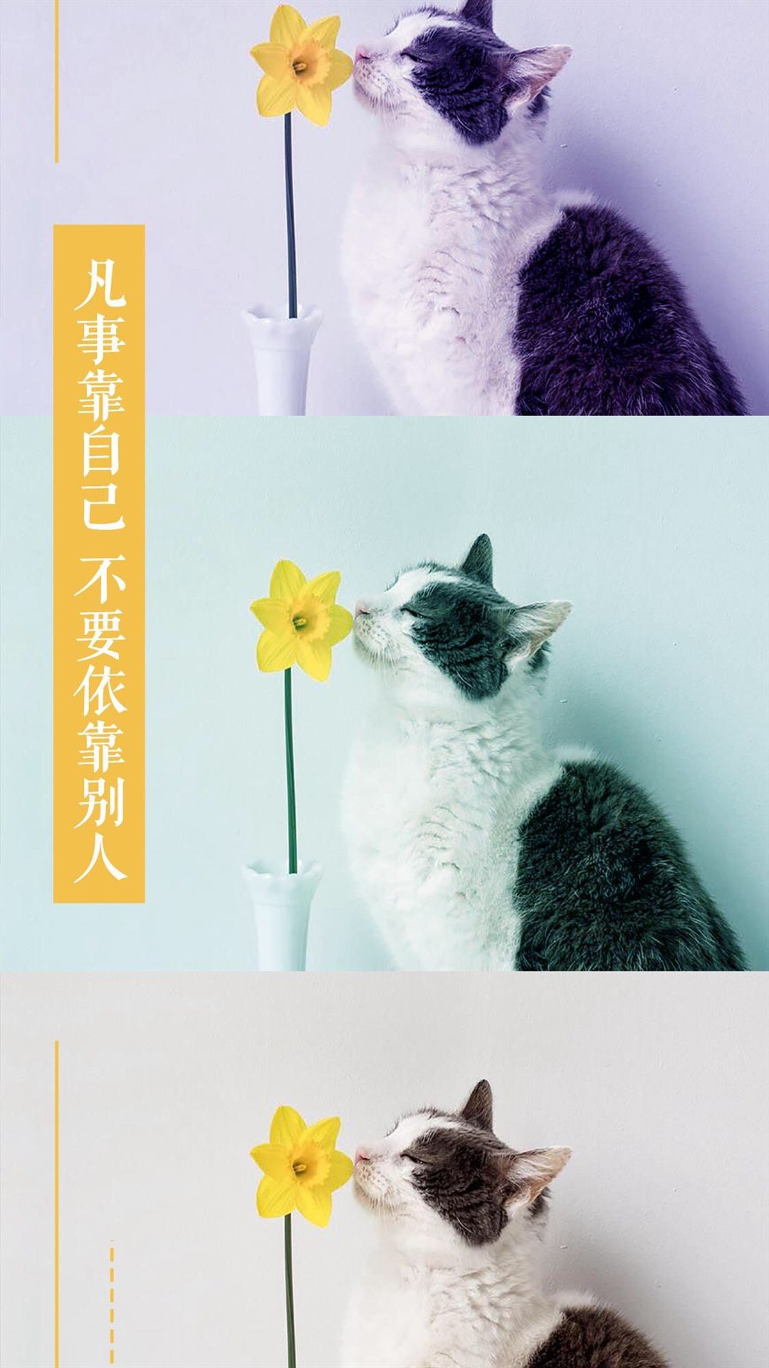 非主流唯美心情文字