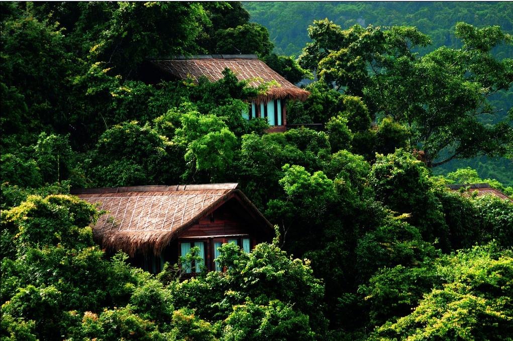 亚龙湾热带天堂森林公园