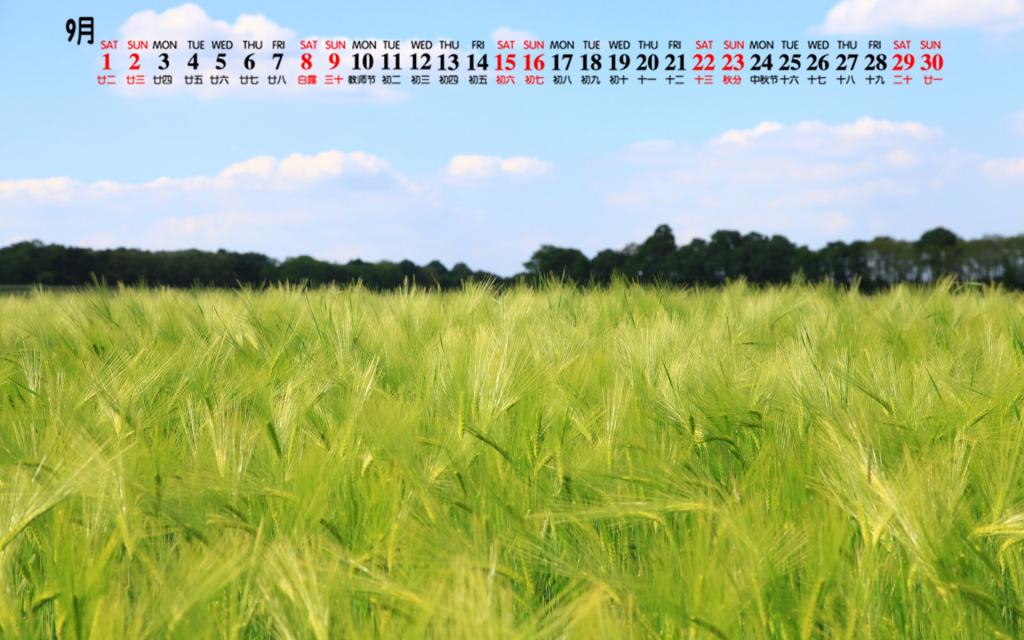 2018年9月清新护眼麦田日历