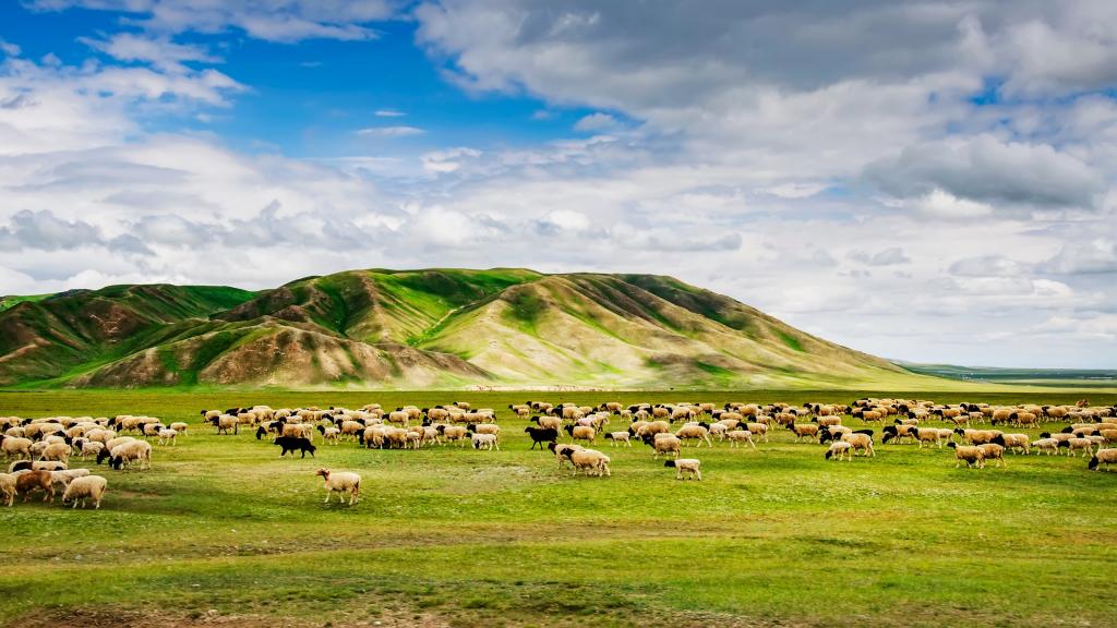 巴音布鲁克草原神秘的美