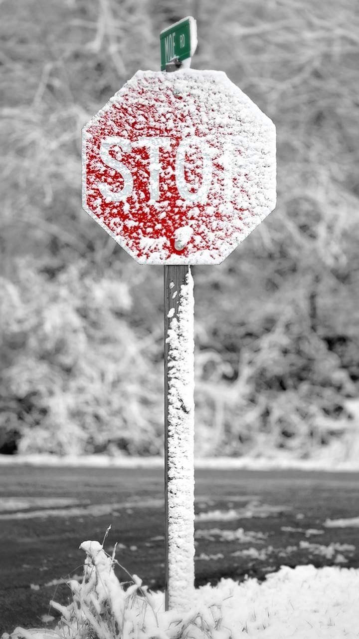 冬天唯美静物摄影wp壁纸