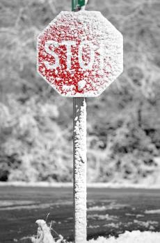 冬天唯美静物摄影wp壁纸-2