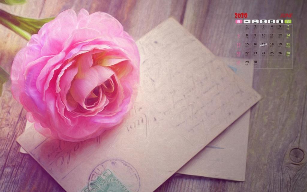 2020年6月摄影下小清新花朵迷人日历写真