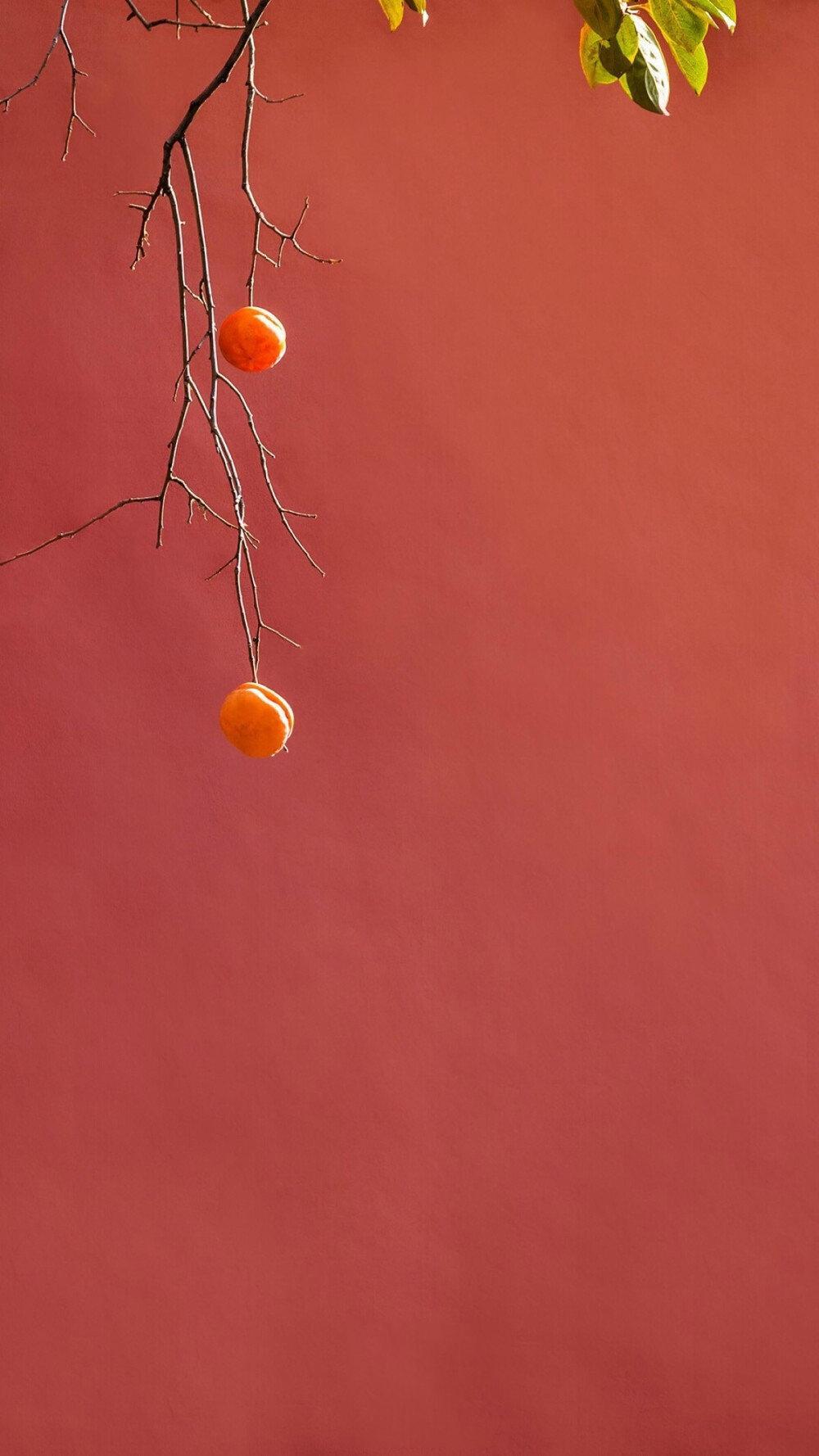 十一国庆节唯美紫禁城简约大气摄影