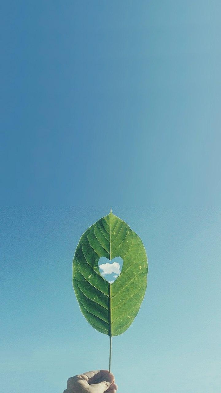 小清新春天绿色植物