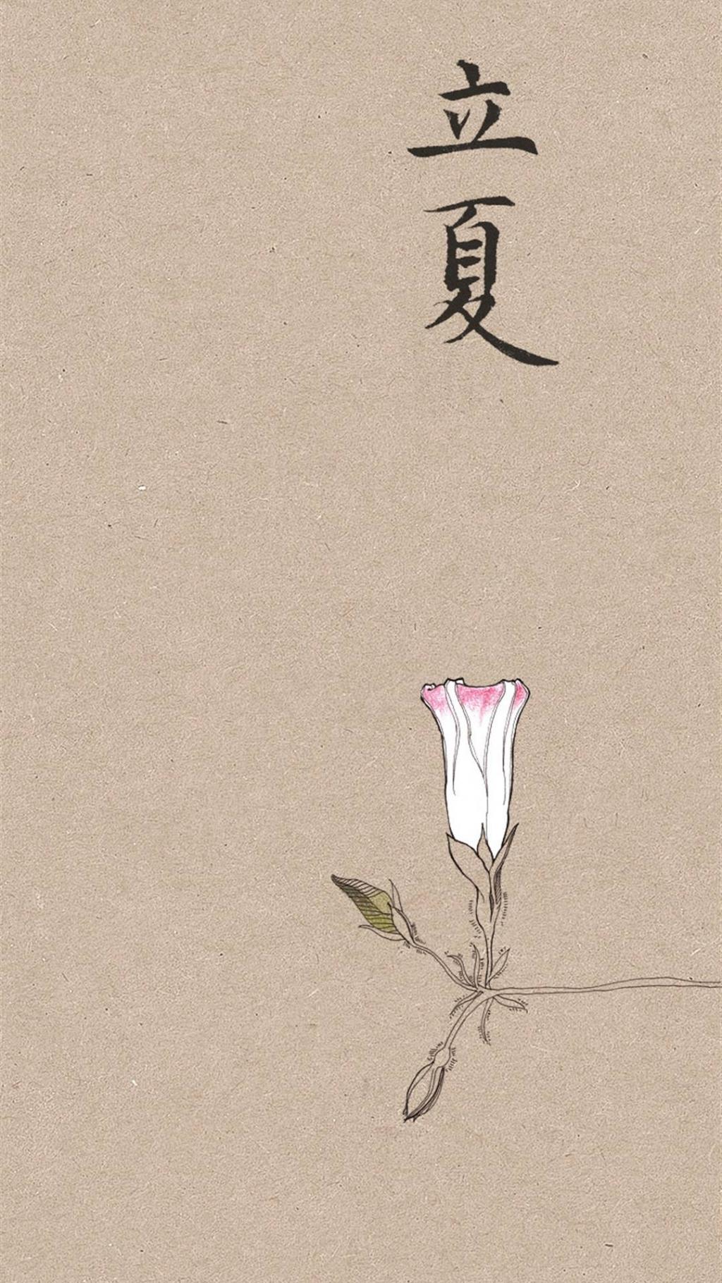 简约优雅二十四节气锁屏