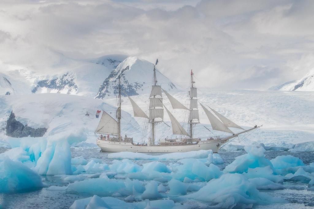 遇见艺术南极洲绿雪