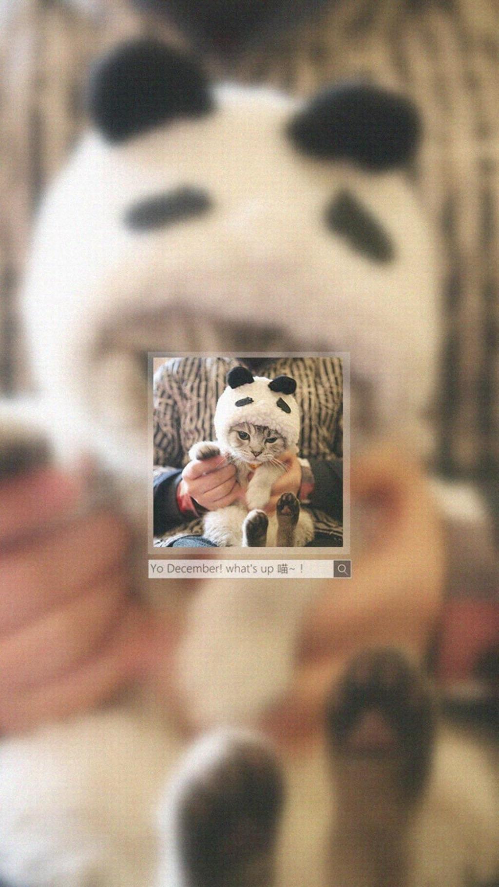 十二月中旬你好