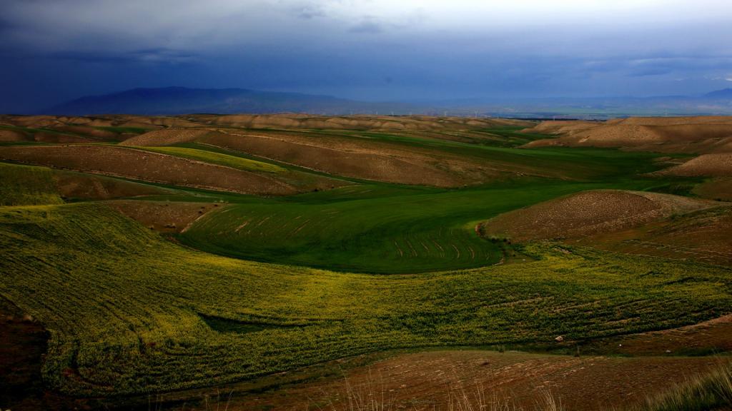 新疆喀拉峻草原