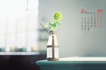 2018年2月室内静物风景日历