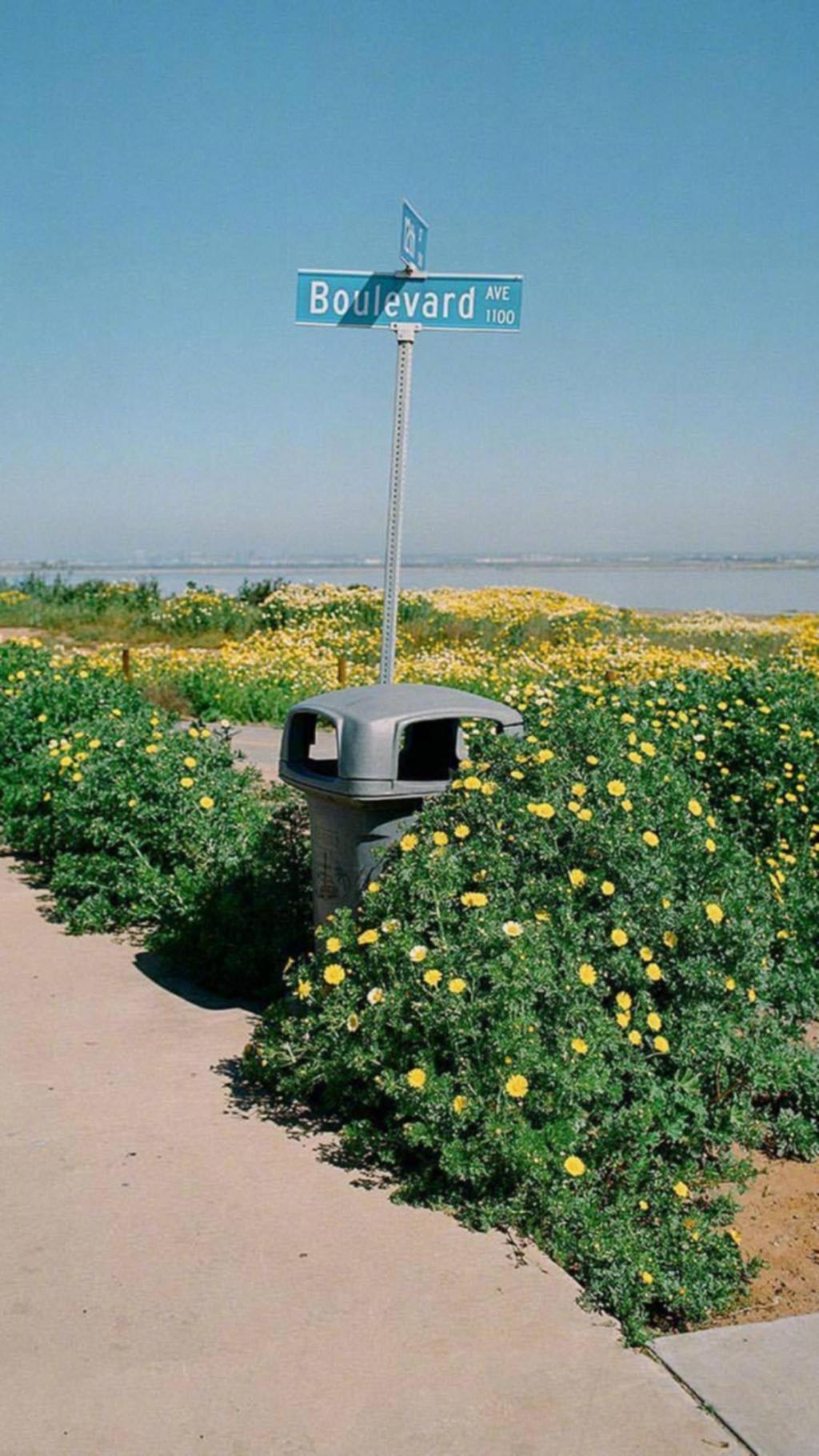 小清新迷人的街景风光