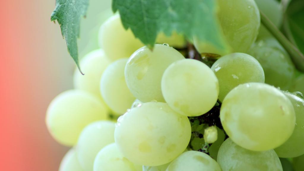 吃水果要选对时间