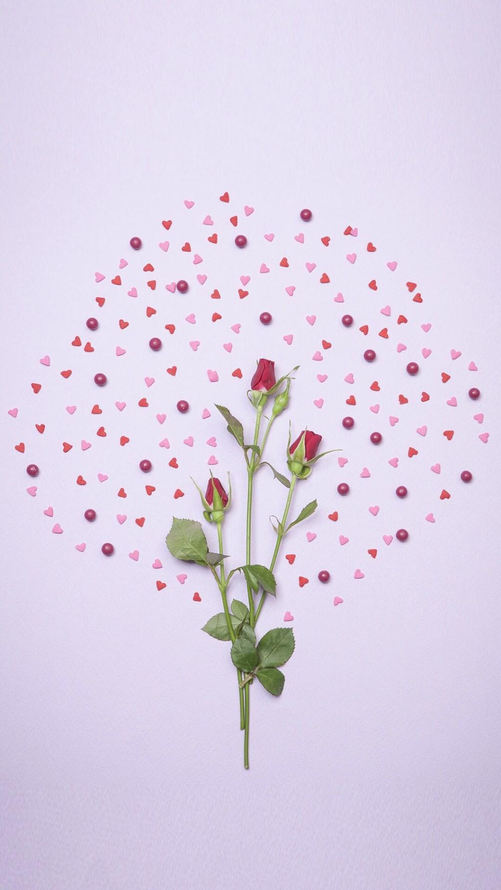 浪漫七夕情人节玫瑰