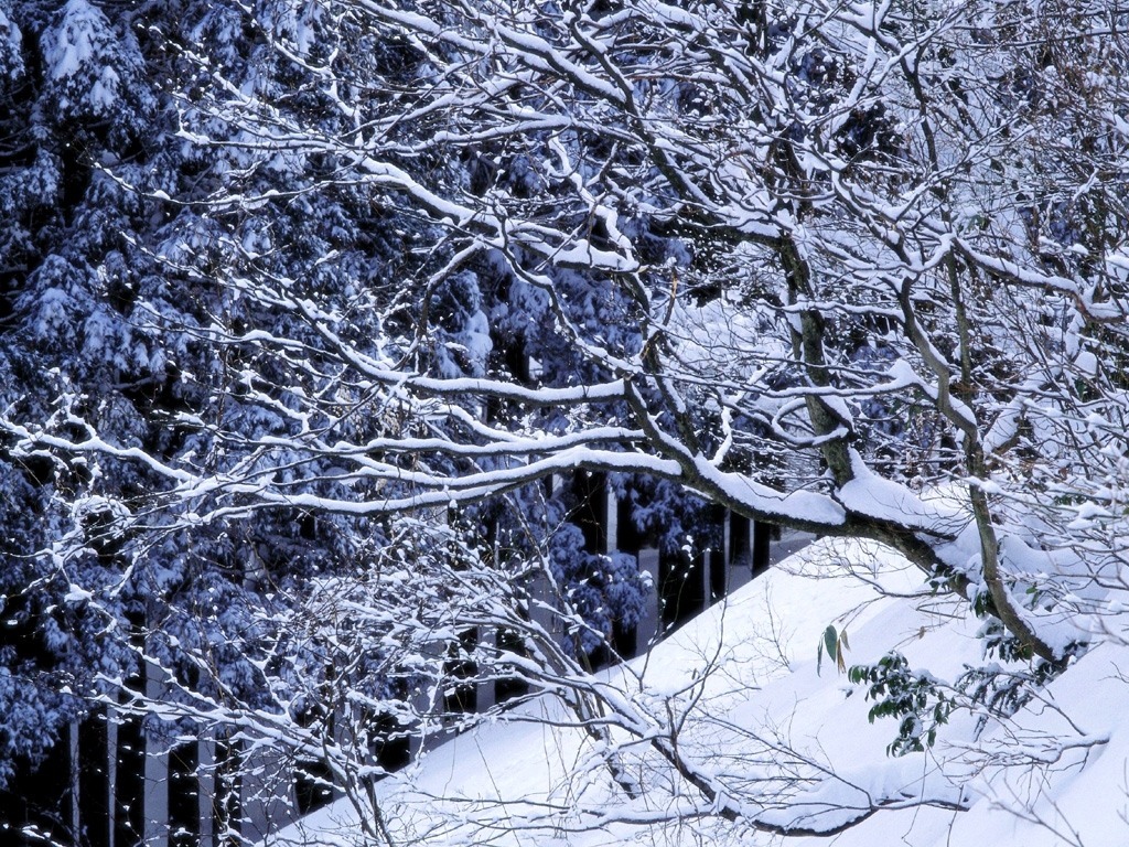 天际屹立着皑皑的雪山冰峰