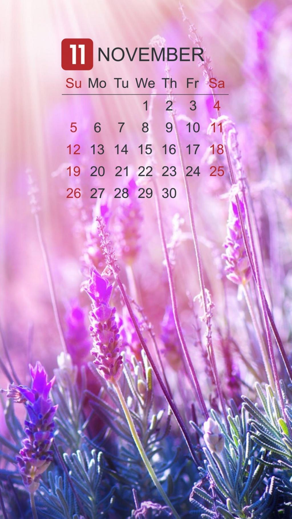 2017年11月唯美薰衣草日历