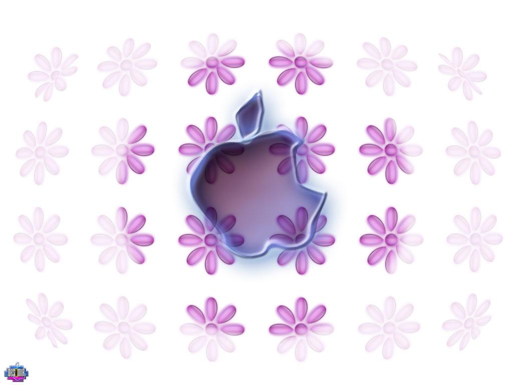 Apple主题 第十辑