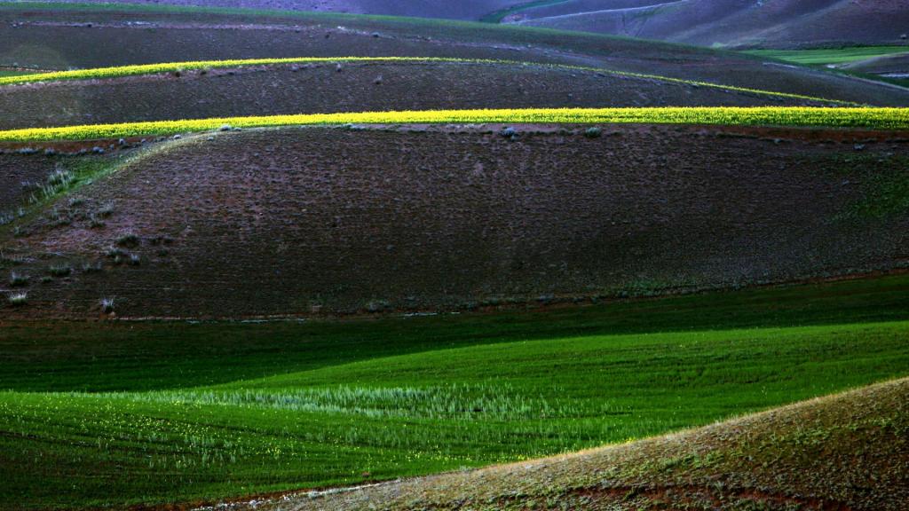 新疆喀拉峻草原