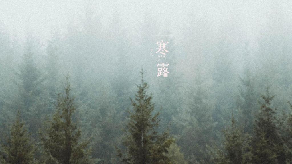 寒露时节优美森林风景