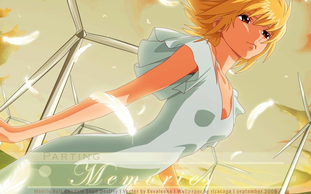 机动战士高达SEED DESTINY