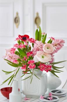 唯美花卉高清摄影