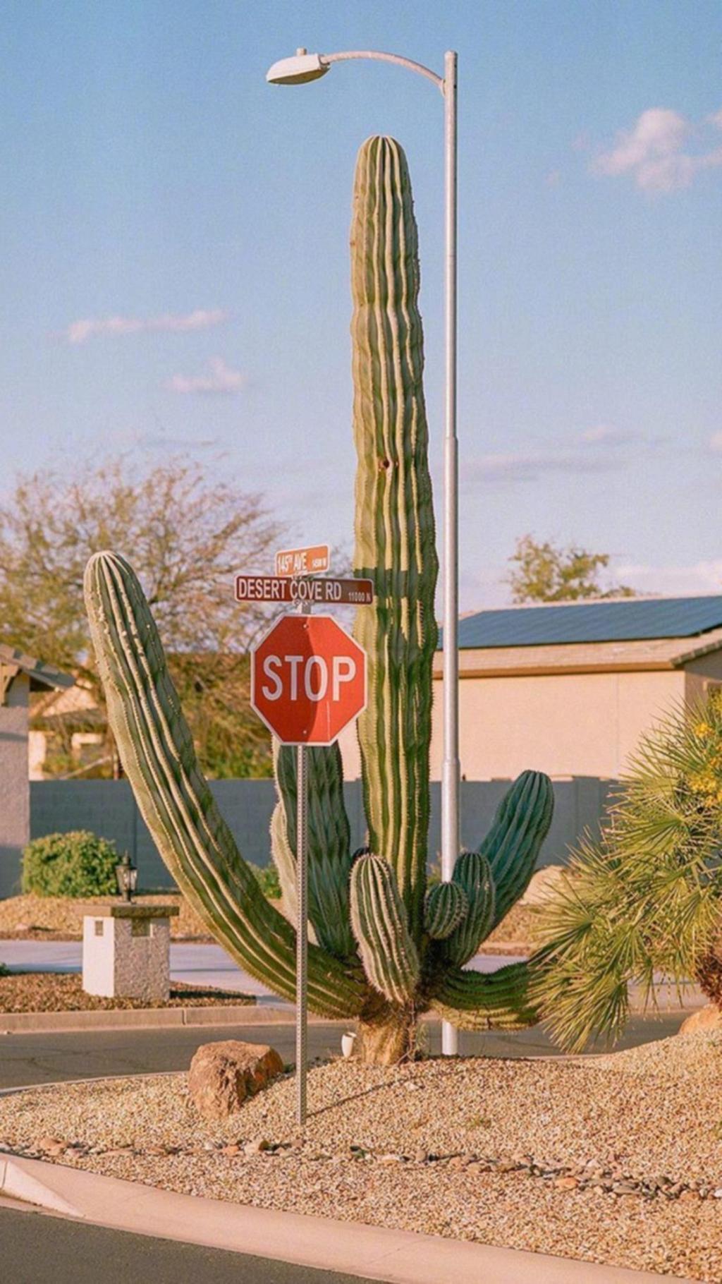 小清新迷人的街景风光