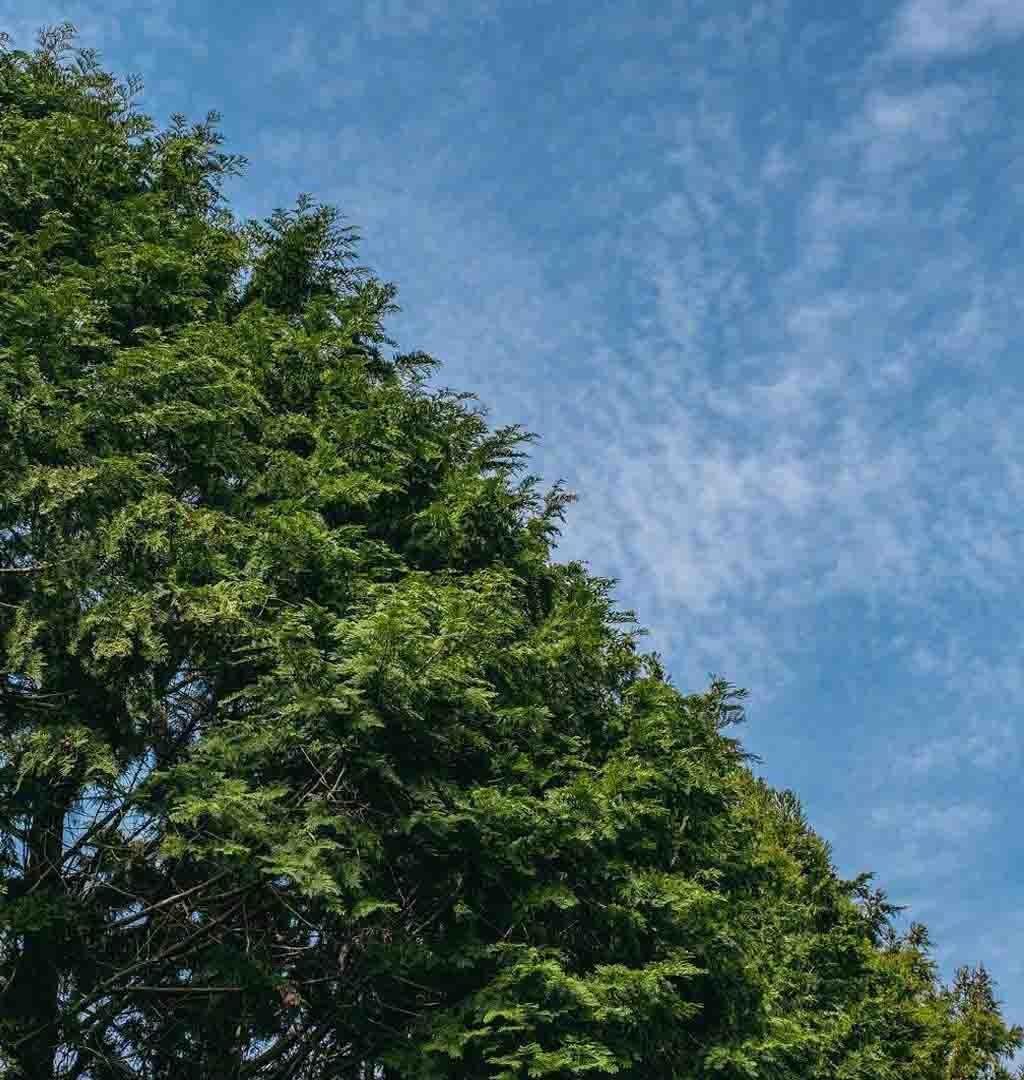 济州岛清新迷人自然风光