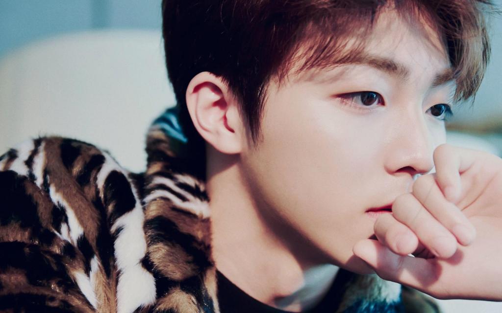 陈立农时尚帅气豹纹写真