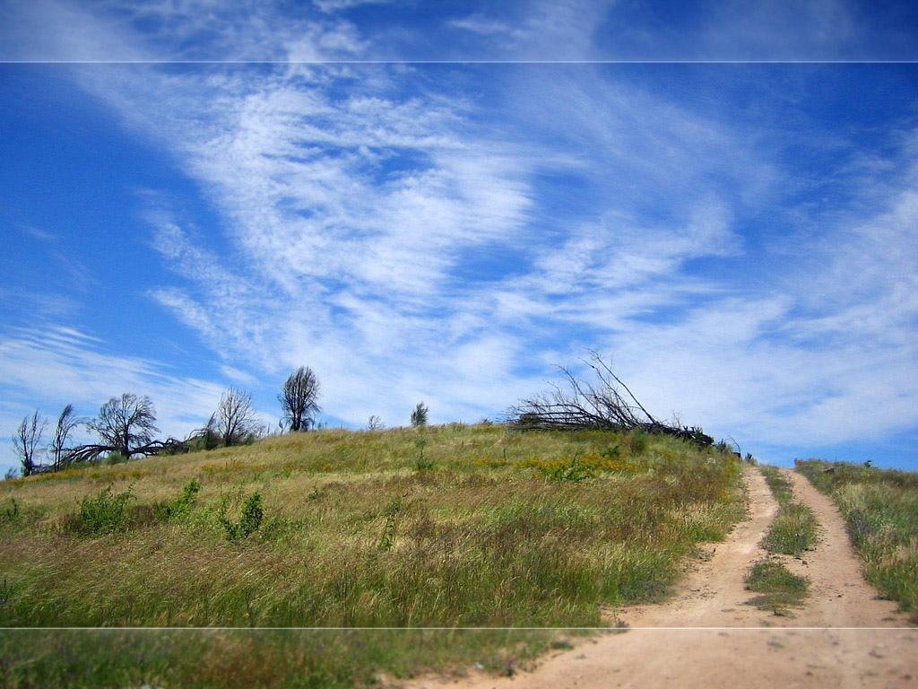 田园上空飘着红霞云朵
