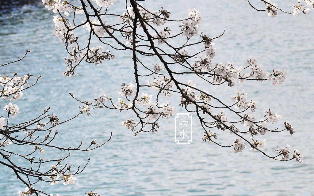 节气雨水的诗歌